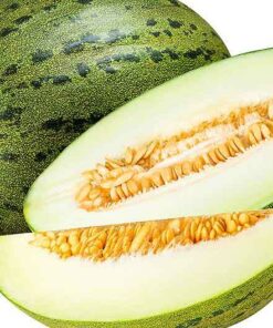 mikado melon